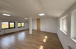 Clădire birouri P + M 230 mp utili, 661 mp teren, Brestei - Centru