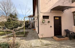 Clădire birouri P + M 230 mp utili, 661 mp teren, Brestei - Centru