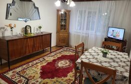 Apartament 2 camere, 50 mp, zona Brazda lui Novac