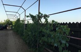 Casă spațioasă 184 mp de vânzare – Sadova, Dolj