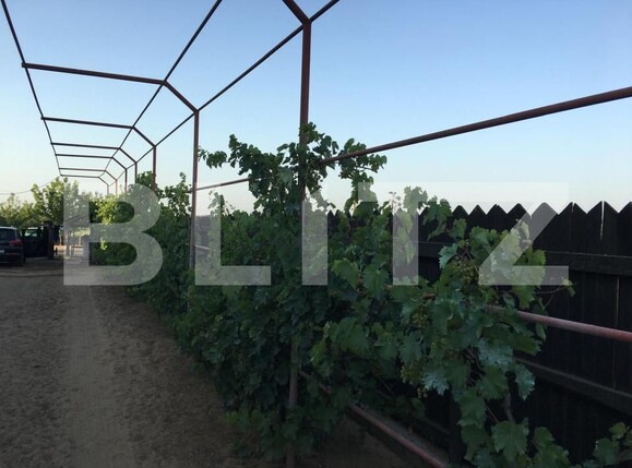 Casa de vânzare 3 camere Exterior Sud - 191502CV | BLITZ Craiova | Poza2