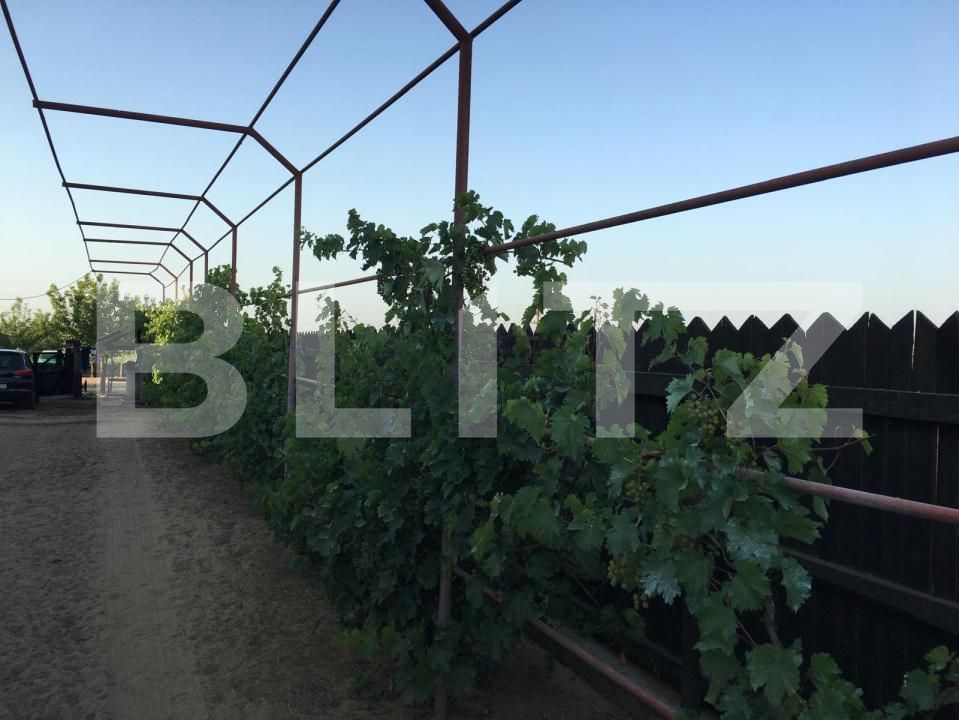 Casa de vânzare 3 camere Exterior Sud - 191502CV | BLITZ Craiova | Poza2