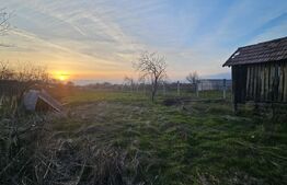 Casa parter, 100 mp utili, 1090 mp teren,  Pielesti 