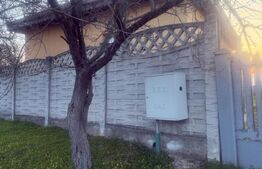 Casa parter, 100 mp utili, 1090 mp teren,  Pielesti 