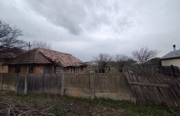 Teren cu casa, Podari, 1000 mp, toate utilitatile, 20 m deschidere