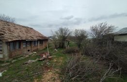 Teren cu casa, Podari, 1000 mp, toate utilitatile, 20 m deschidere