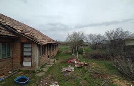 Teren cu casa, Podari, 1000 mp, toate utilitatile, 20 m deschidere