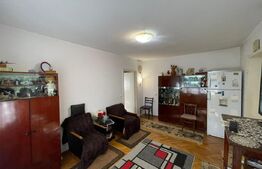 Apartament 2 camere, 46 mp, Cartier George Enescu 