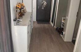 Apartament 4 camere, 160 mp, et.3, zona Calea Severinului-Bila