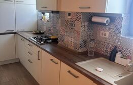 Apartament 4 camere, 160 mp, et.3, zona Calea Severinului-Bila