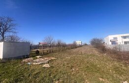 Teren intravilan 3000 mp la principala, Cosoveni