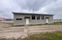 Hala 186 mp, Cosoveni, curte 2053 mp