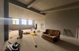 Hala 186 mp, Cosoveni, curte 2053 mp