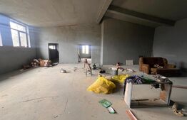 Hala 186 mp, Cosoveni, curte 2053 mp