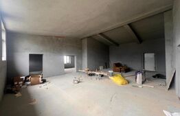 Hala 186 mp, Cosoveni, curte 2053 mp