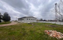 Hala 186 mp, Cosoveni, curte 2053 mp