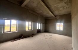 Hala 186 mp, Cosoveni, curte 2053 mp