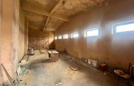 Hala 186 mp, Cosoveni, curte 2053 mp