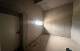 Hala 186 mp, Cosoveni, curte 2053 mp