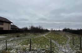 Teren intravilan 10.000 mp în Coșoveni – deschidere 21,5 m, utilități la front