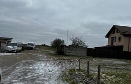 Teren intravilan 10.000 mp în Coșoveni – deschidere 21,5 m, utilități la front