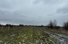 Teren intravilan 10.000 mp în Coșoveni – deschidere 21,5 m, utilități la front