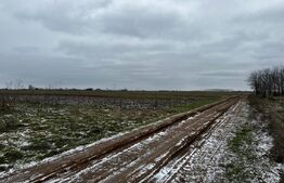 Teren intravilan 10.000 mp în Coșoveni – deschidere 21,5 m, utilități la front