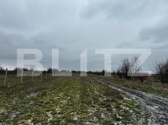 Teren de vânzare Cosoveni - 191593TV | BLITZ Craiova | Poza2