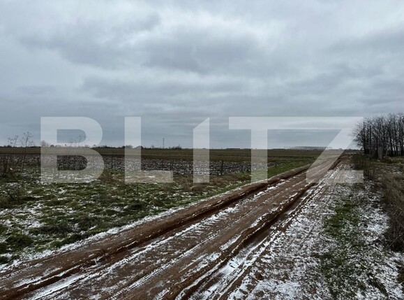 Teren de vânzare Cosoveni - 191593TV | BLITZ Craiova | Poza4