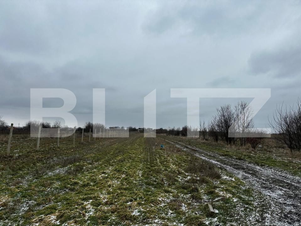 Teren de vânzare Cosoveni - 191593TV | BLITZ Craiova | Poza2