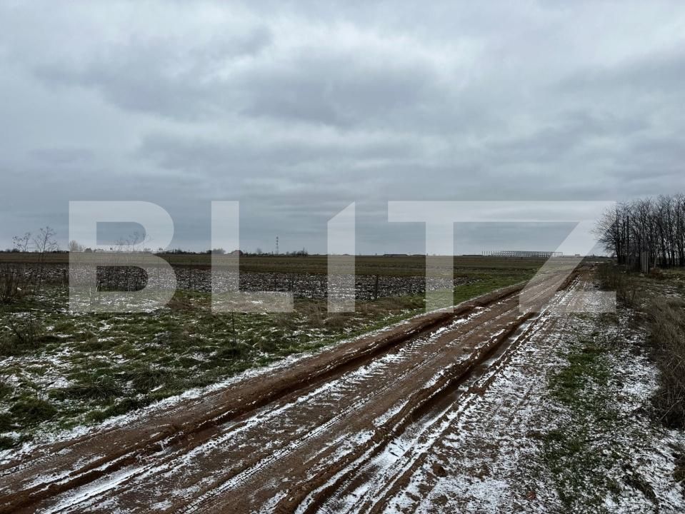 Teren de vânzare Cosoveni - 191593TV | BLITZ Craiova | Poza4