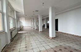 Spațiu comercial P+1+M, 1.000 mp construiti + teren 3.000 mp
