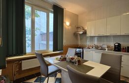 Casa S+P+E+M, 230 mp teren, Puskin