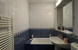 Casa S+P+E+M, 230 mp teren, Puskin