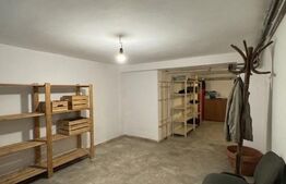 Casa S+P+E+M, 230 mp teren, Puskin