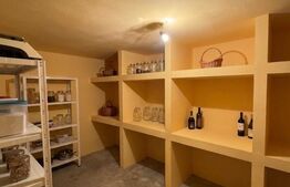 Casa S+P+E+M, 230 mp teren, Puskin