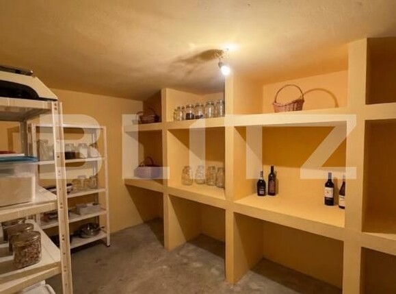 Casa de închiriat 7 camere Siloz - 191708CI | BLITZ Craiova | Poza6