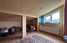 Casa S+P+E+M, 230 mp teren, Puskin