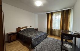 Casa S+P+E+M, 230 mp teren, Puskin