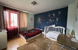 Casa S+P+E+M, 230 mp teren, Puskin