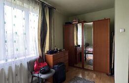 Casa S+P+E+M, 230 mp teren, Puskin