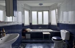 Casa S+P+E+M, 230 mp teren, Puskin