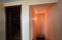 Casa S+P+E+M, 230 mp teren, Puskin