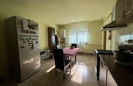 Casa duplex P+2E, SU 193 mp, 384 pm teren, zona Campia Islaz