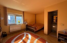 Casa duplex P+1E+M, SU 193 mp, 384 pm teren, zona Campia Islaz