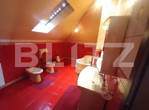 Casa de închiriat 16 camere Lascar Catargiu - 191738CI | BLITZ Craiova | Poza11