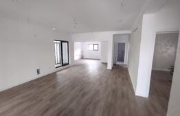 Casa individuala, 150 mp, zona Catargiu