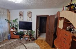 Apartament 2 camere, 49 mp, zona Brazda lui Novac