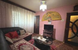 Apartament 2 camere, 29 mp, zona Piață, Valea Roșie