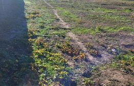 Teren intravilan, 500 mp, Floresti-Simnicul de sus